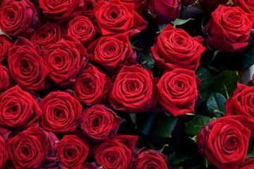 C11A18B8-26E8-4EF9-8E39-3FB39D99D106