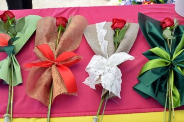 C28F40E0-03F9-4F28-BDE9-792710972D4B