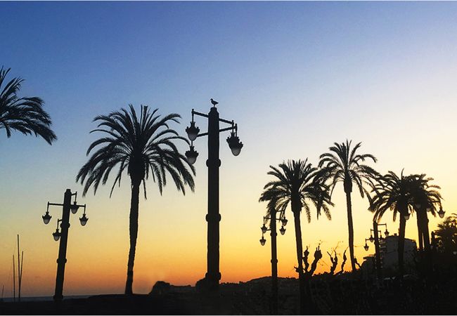 Apartment in Sitges - VENUS Apartment Apartment in Sitges - VENUS Apartment