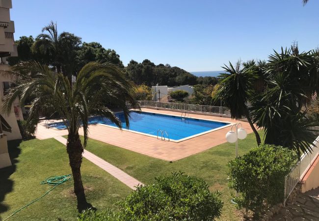 Apartment in Sitges - Palma pool Apartment Apartment in Sitges - Palma pool Apartment