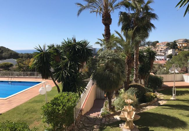 Apartment in Sitges - Palma pool Apartment Apartment in Sitges - Palma pool Apartment